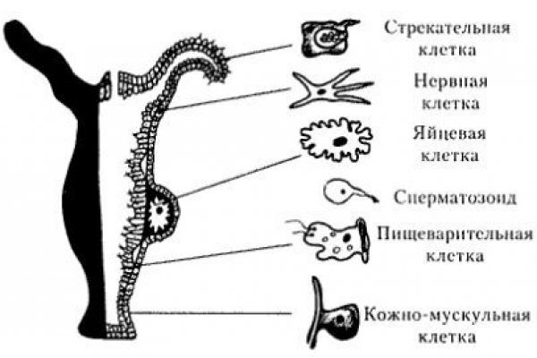 Кракен сайт kraken2